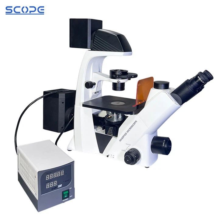 Fázový kontrast a fluorescenčná mikroskopia